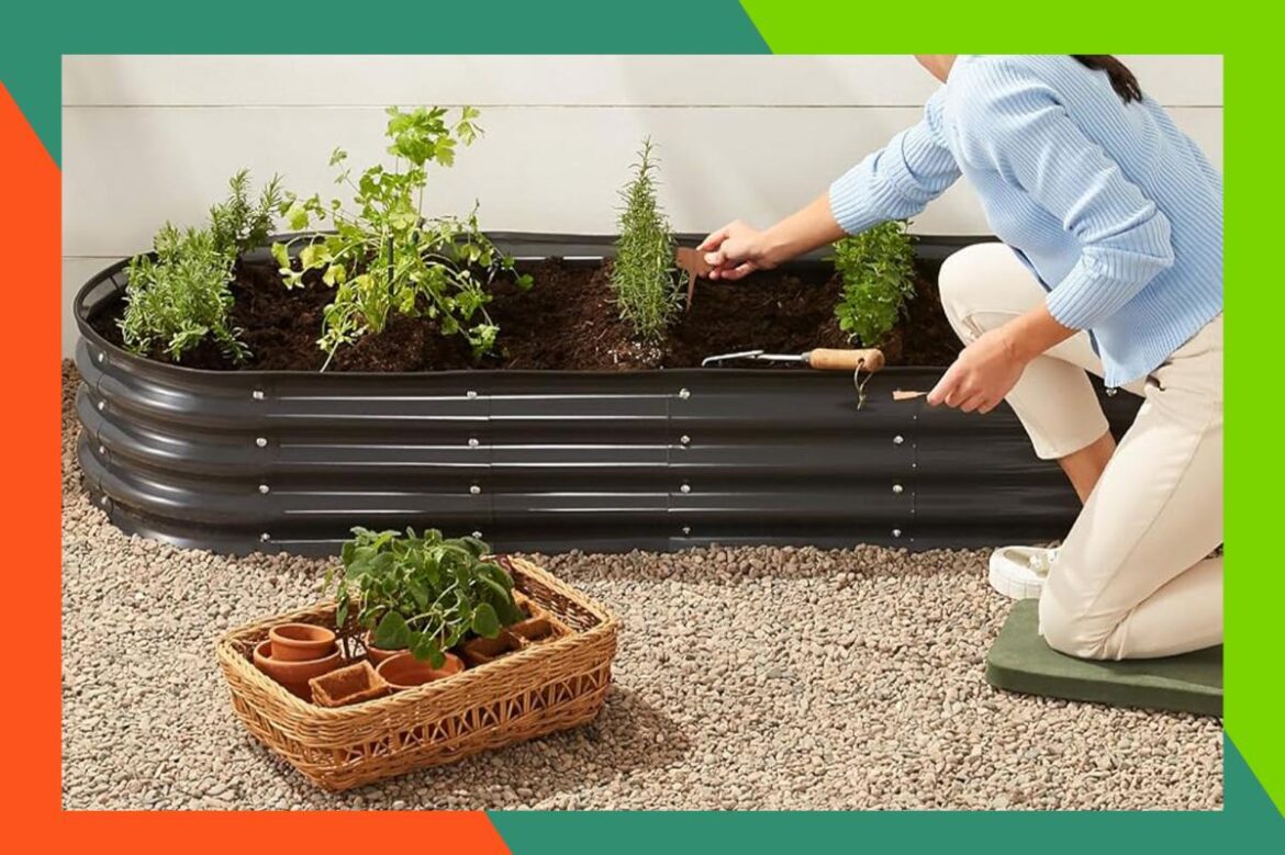 This $70 metal raised garden bed is the easiest way to start a garden