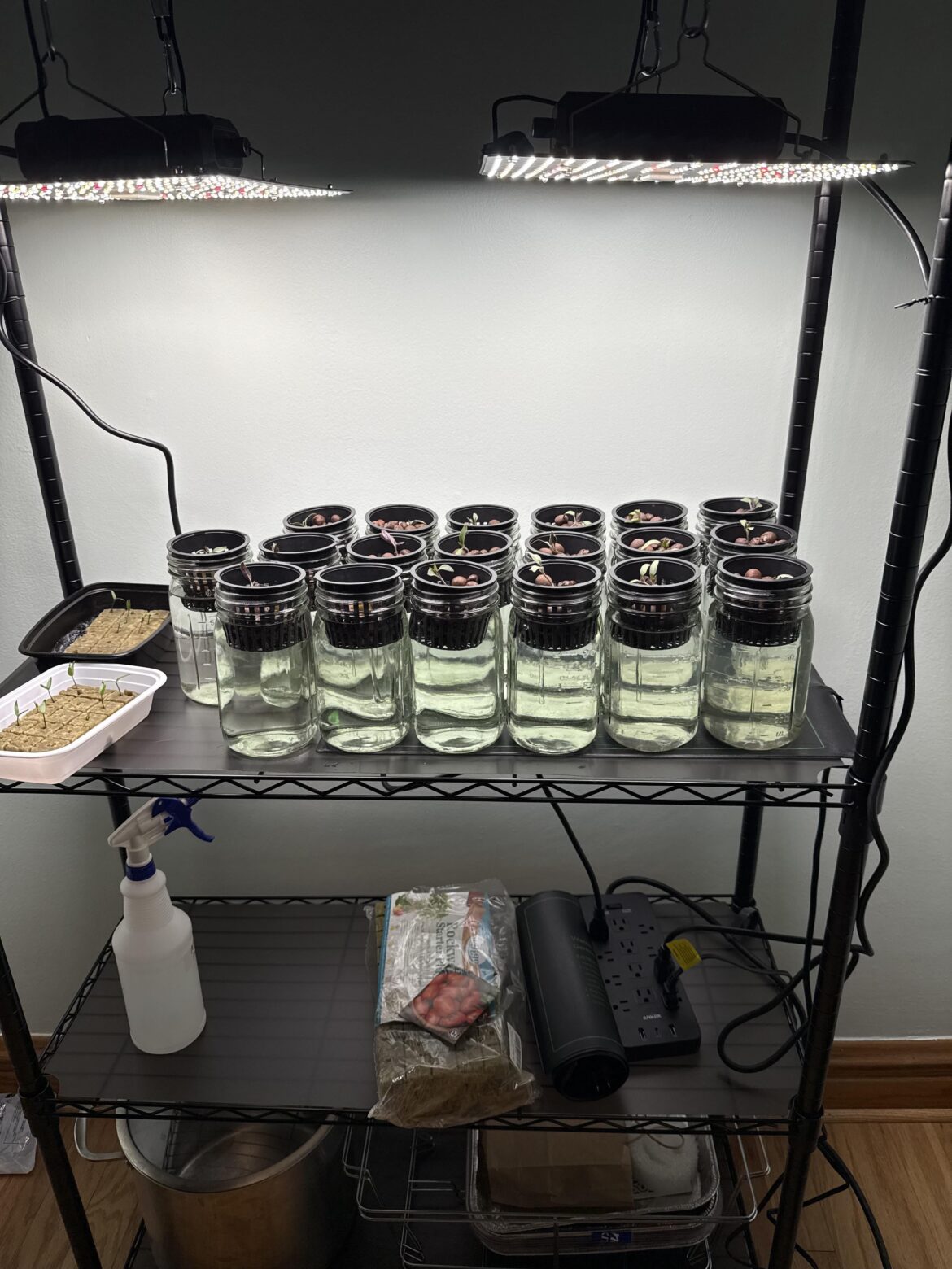 Just starting off!