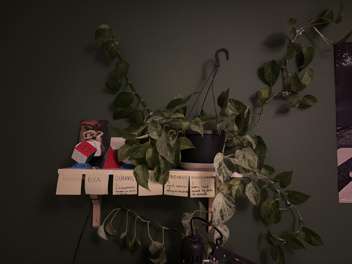 Pothos climbing question