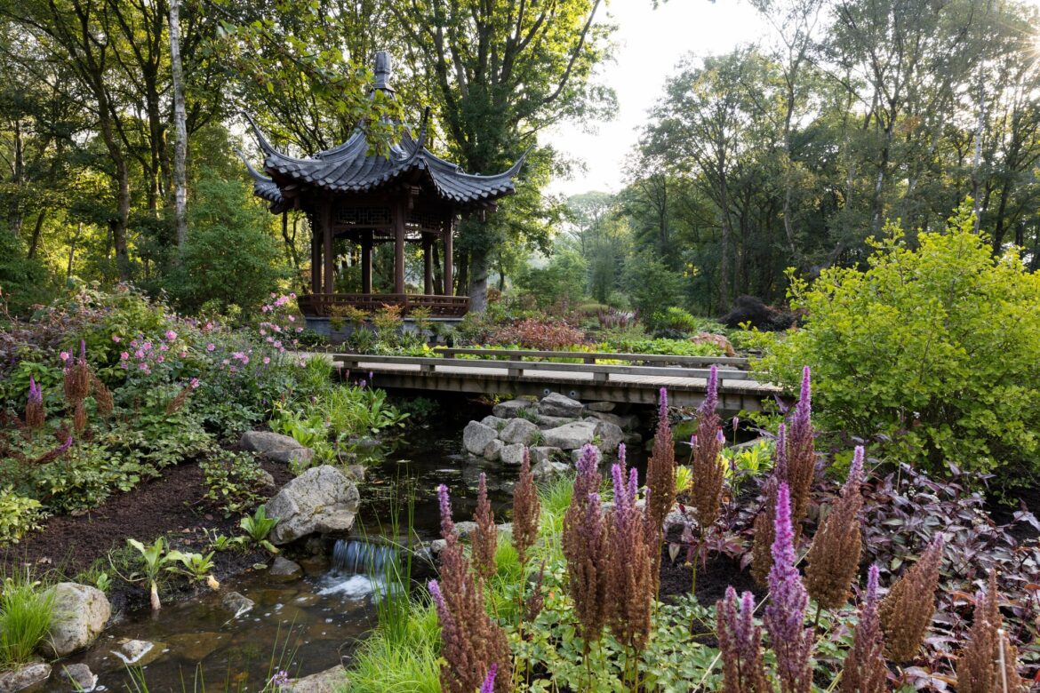 You can visit one of the UK’s most beautiful gardens for just £1 next week, as mild temperatures bring the Salford spot into full spring bloom You can visit one of the UK’s most beautiful gardens for just £1 next week, as mild temperatures bring the Salford spot into full spring bloom
