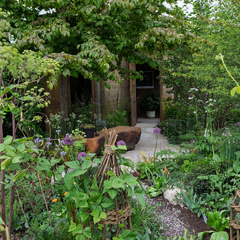 how are the rhs chelsea flower show gardens judged