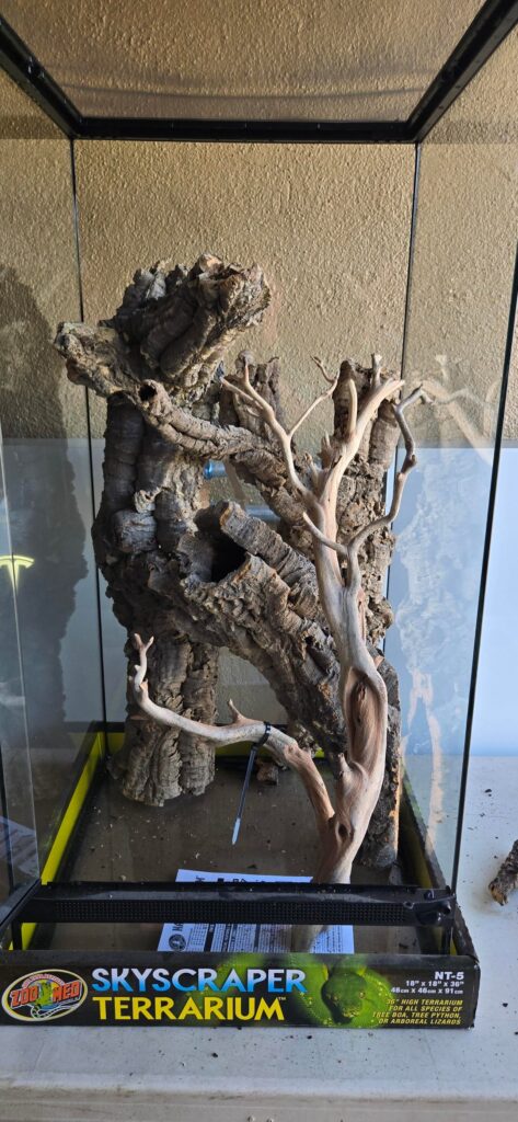 Rough hardscape plan