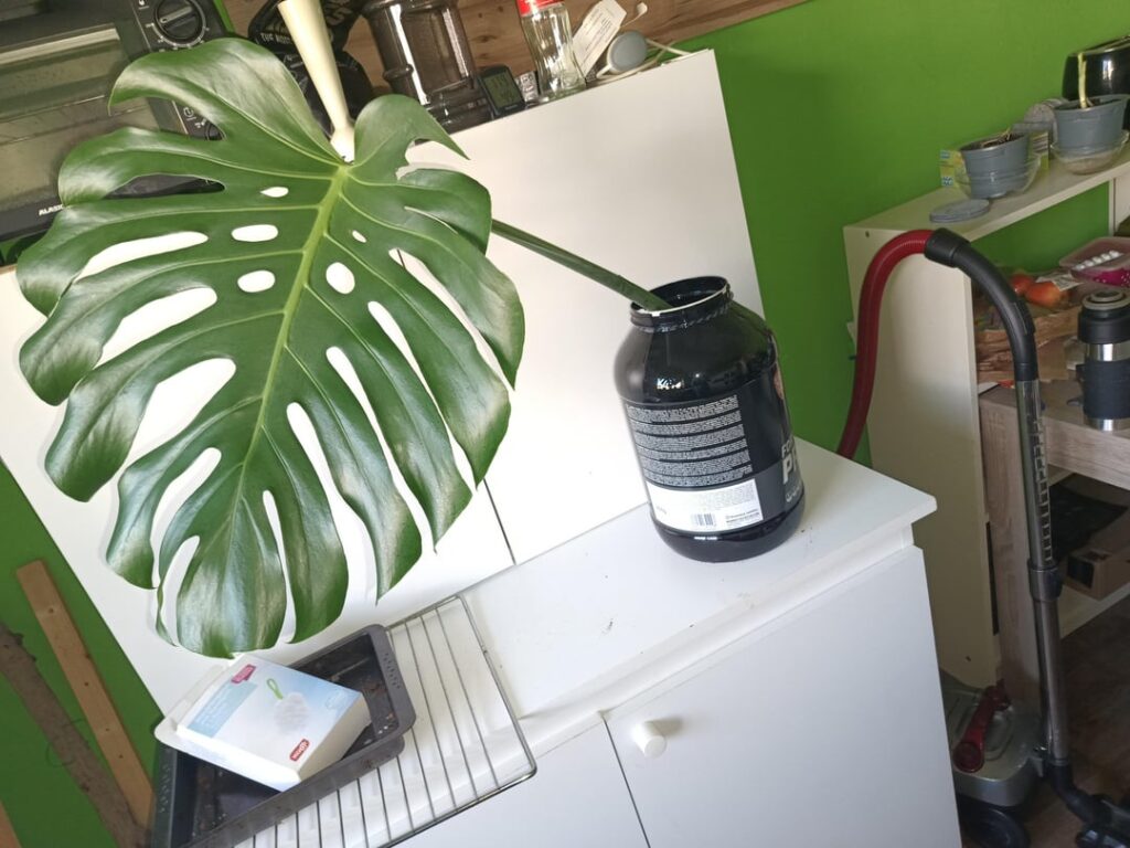 Wird doch funktionieren oder?