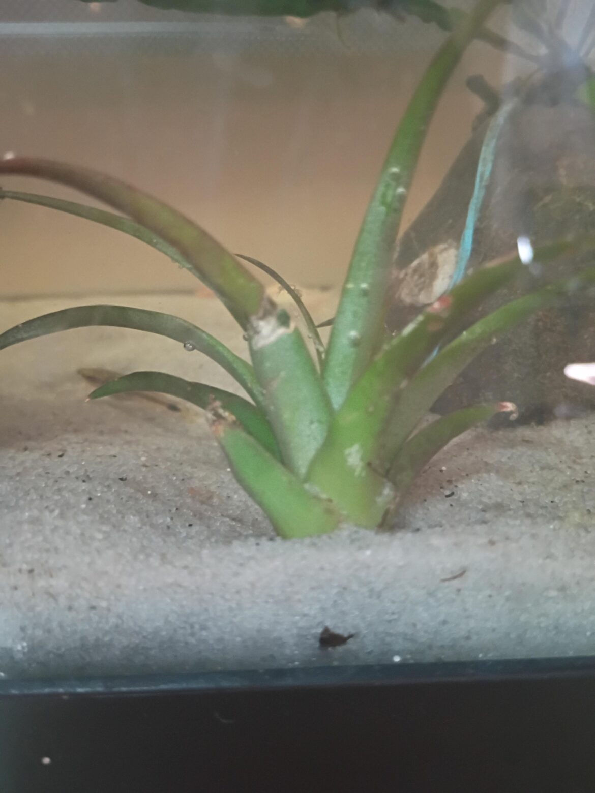 Getting to see the fish tank :)