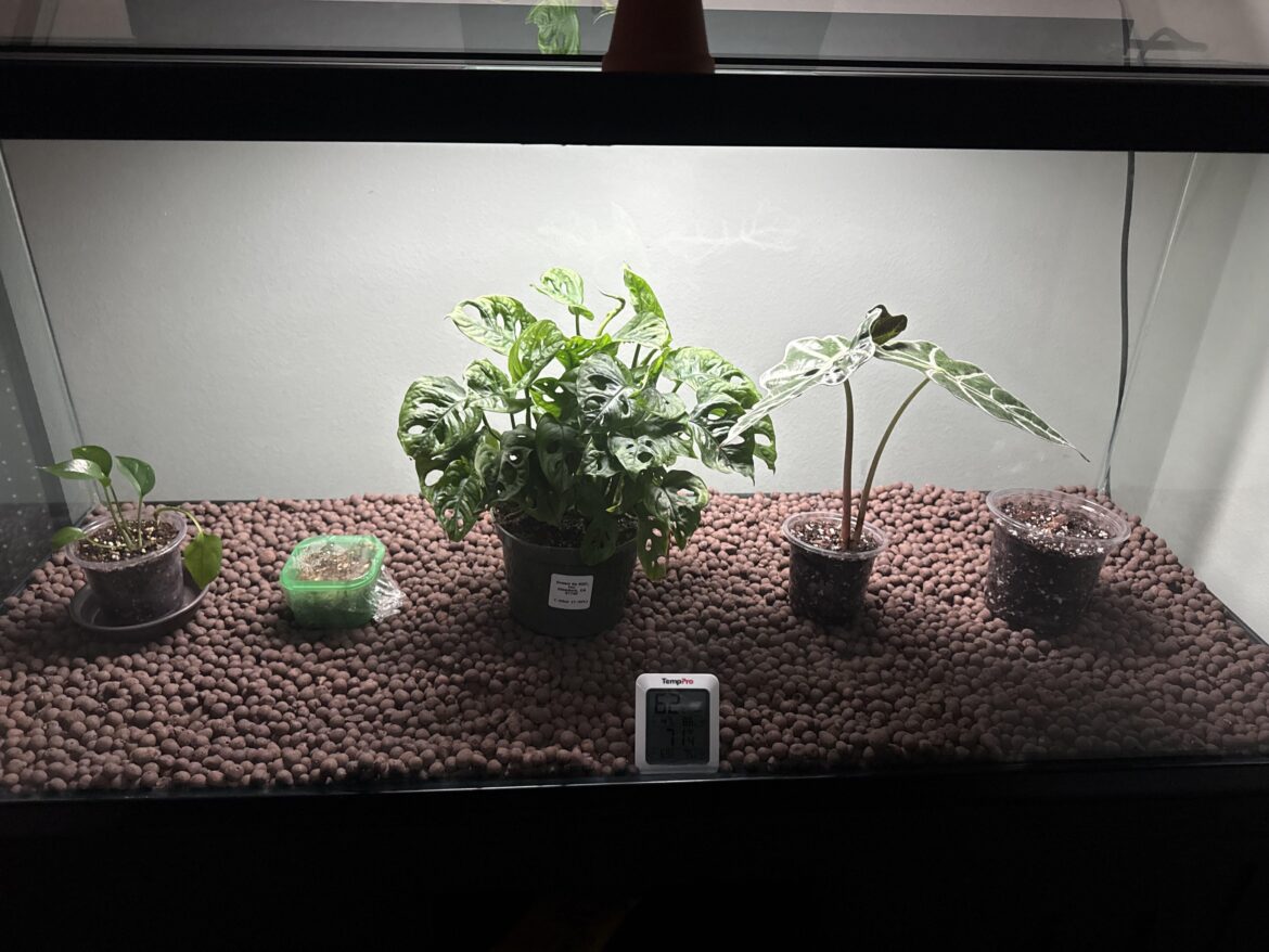“Greenhouse” help (newbie)