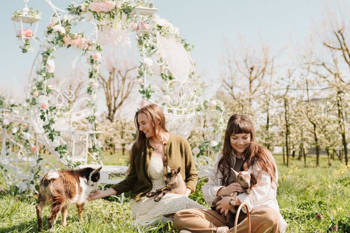B.C.’s Taves Farms will soon transform with a new tulip garden B.C.'s Taves Farms will soon transform with a new tulip garden
