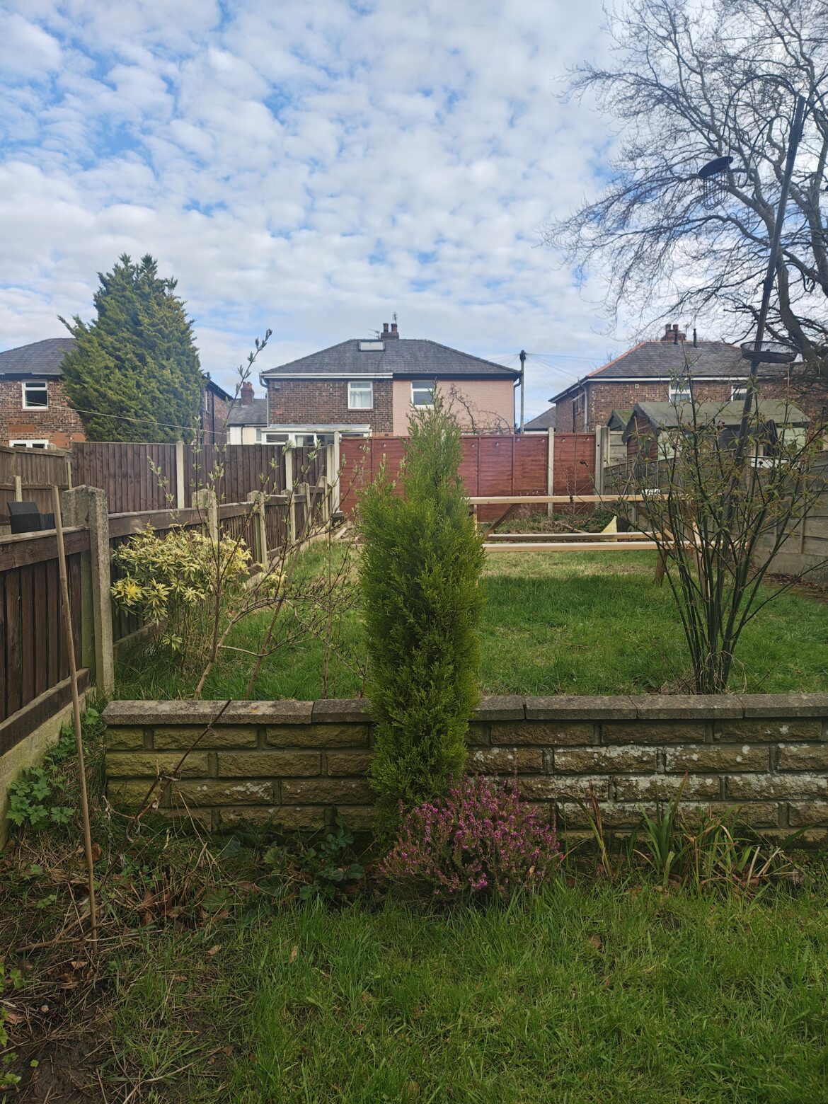 Leylandii – To chop or not to chop? Leylandii - To chop or not to chop?