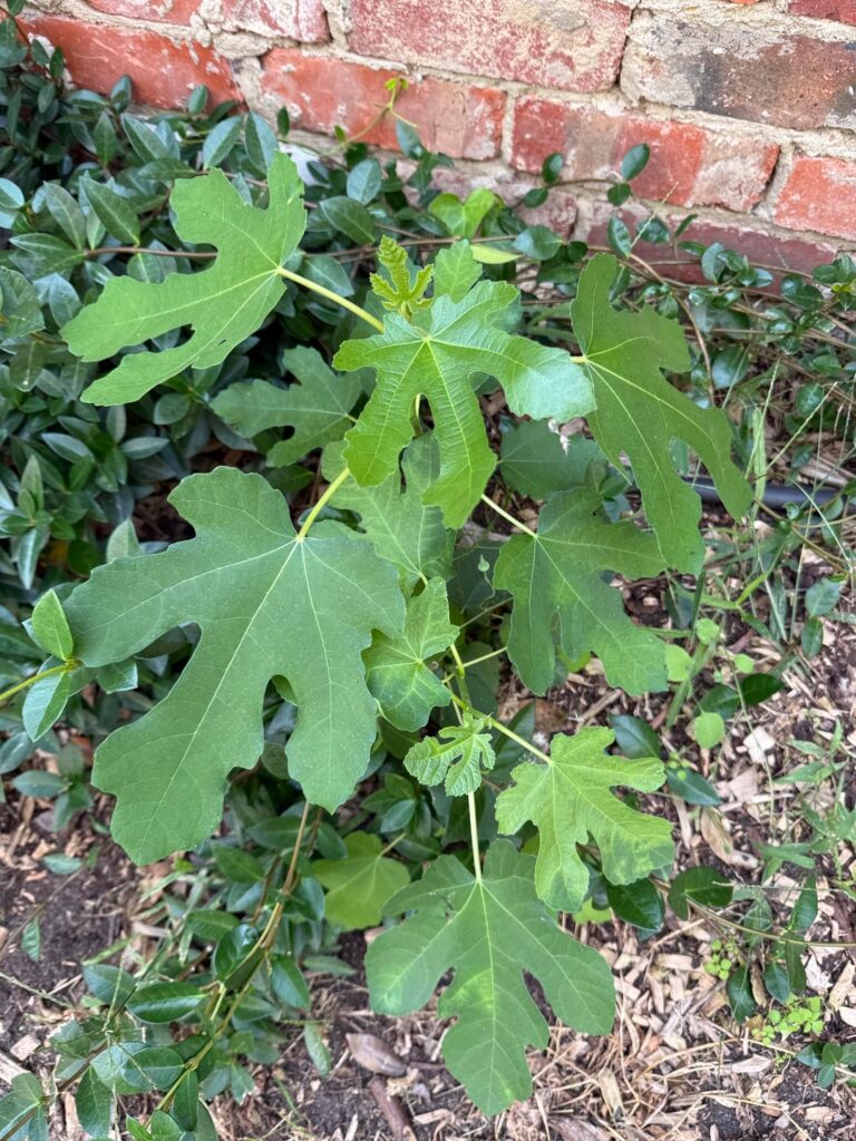 Melbourne, Australia