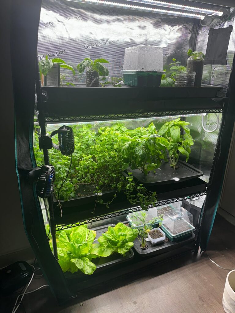 Rehoming my vertical hydroponic setup (Columbia, MD / DMV area) Rehoming my vertical hydroponic setup (Columbia, MD / DMV area)