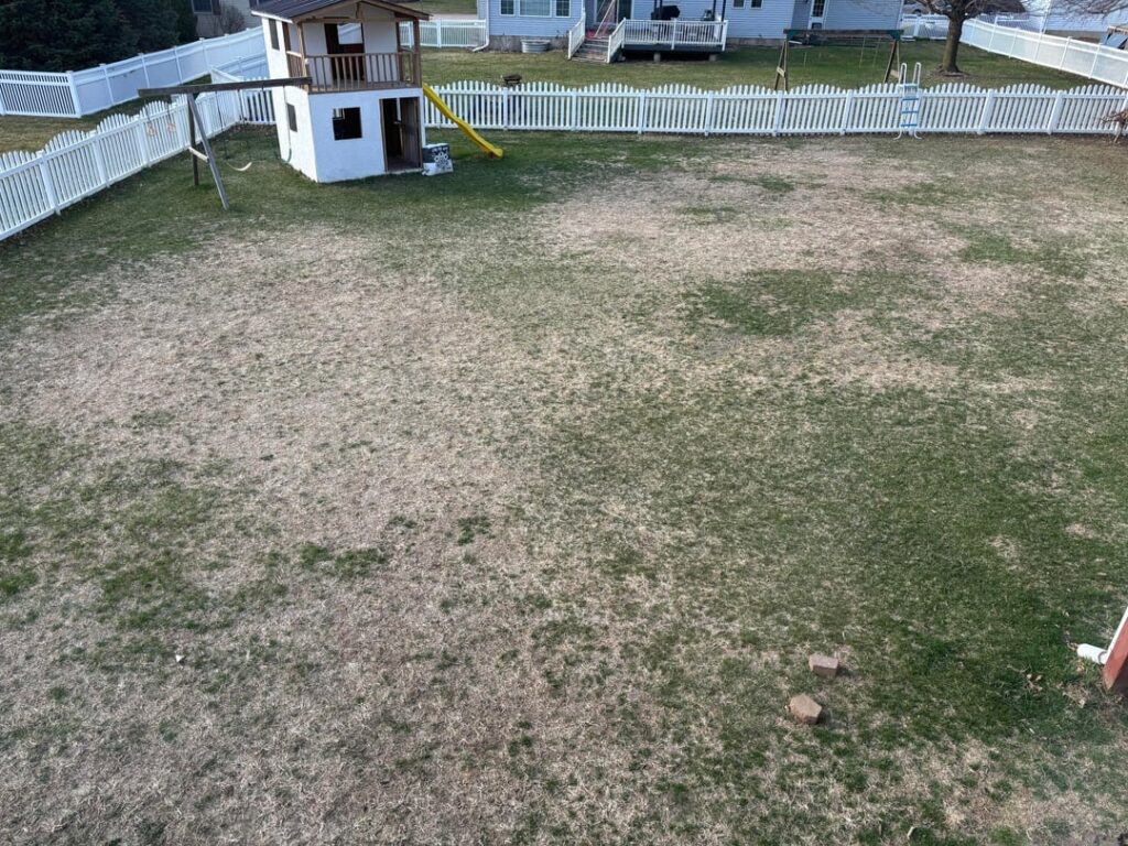 Brothers, I'm in need of some help. Everything I've read says to put down pre emergent right now, but I feel like half of my lawn is just dead. Should I overseed instead? Zone 5b