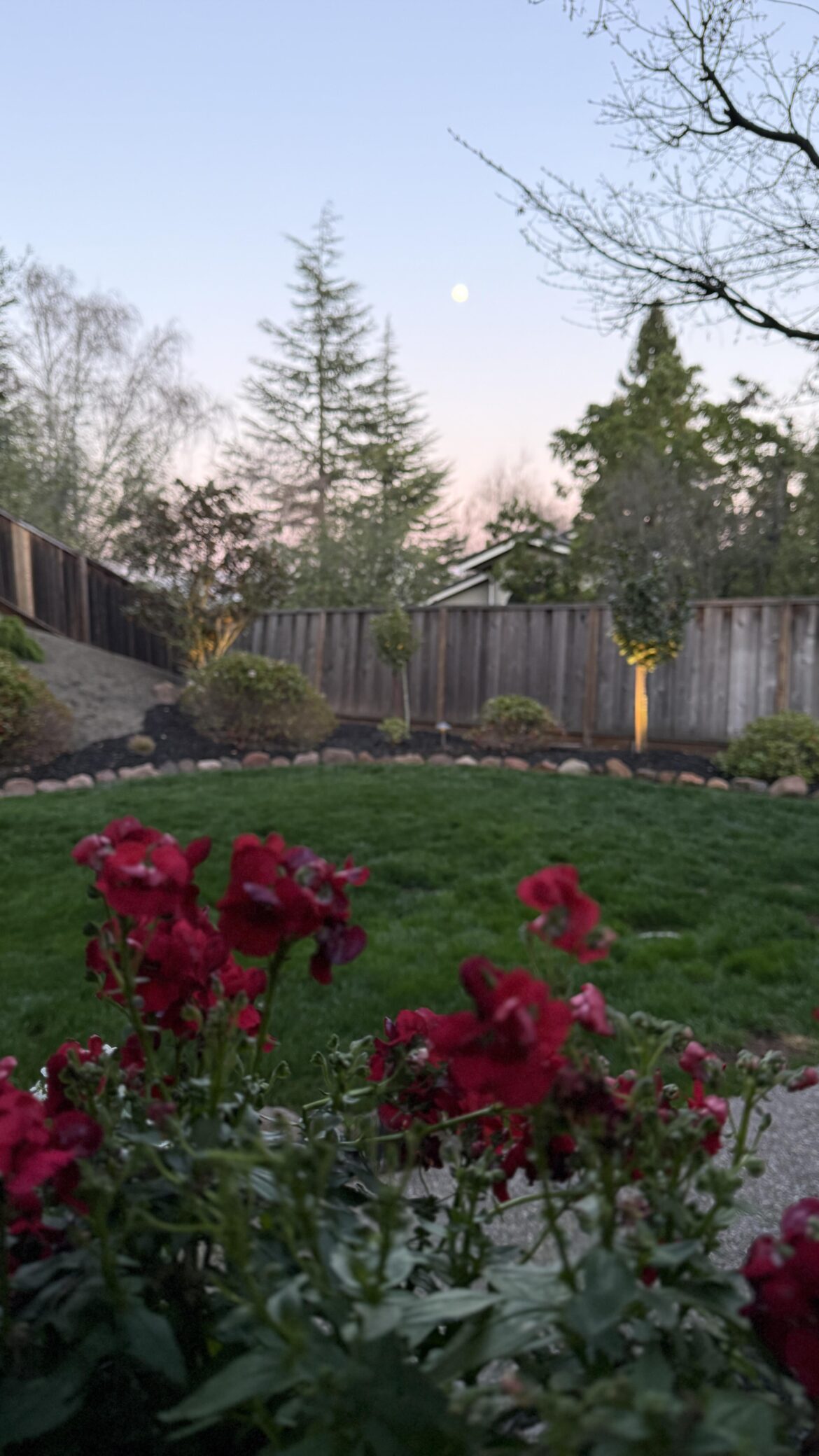 This is all your fault