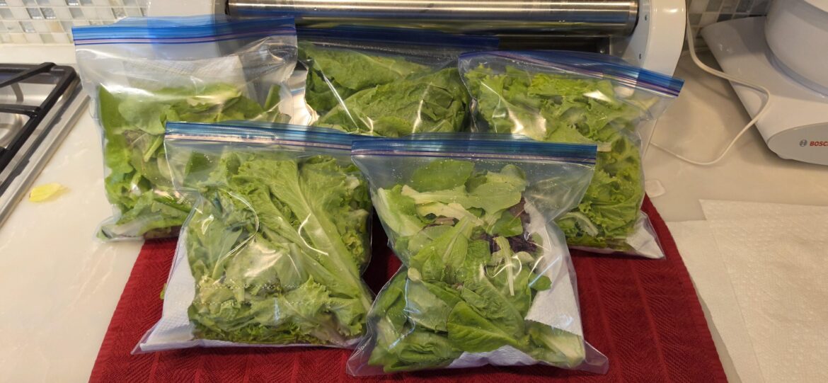 Cleared two grow bags