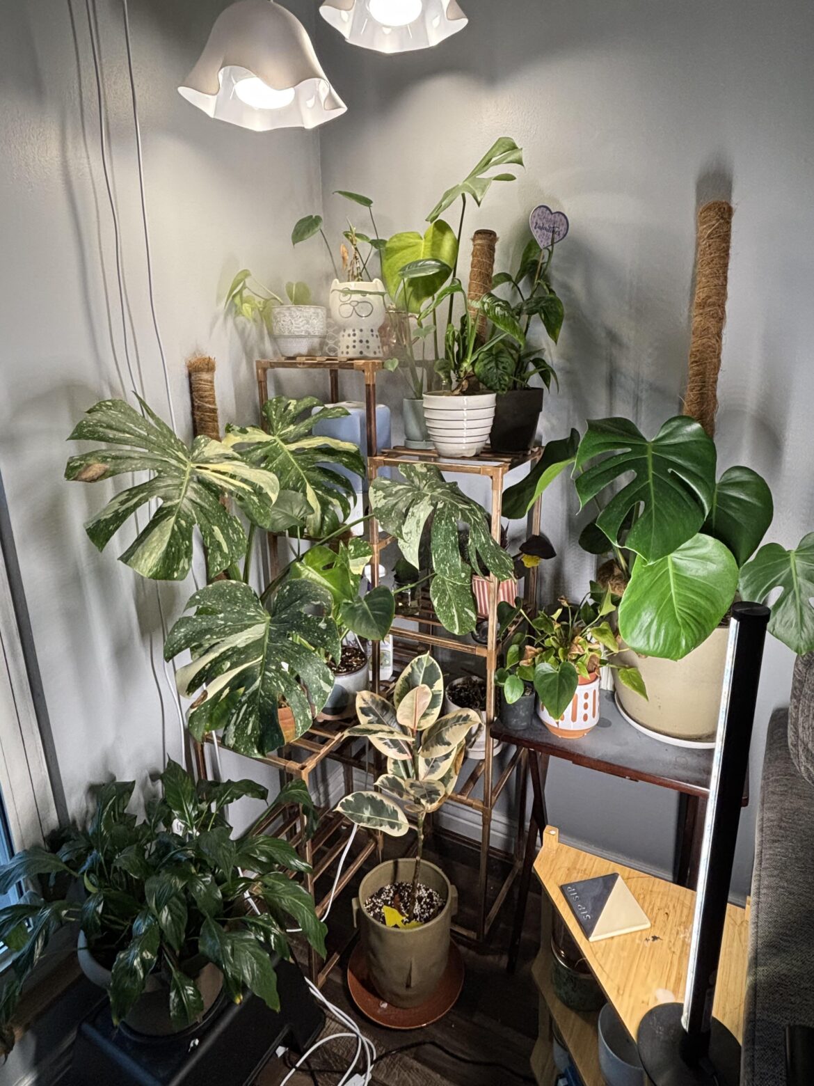 Favorite corner of my home