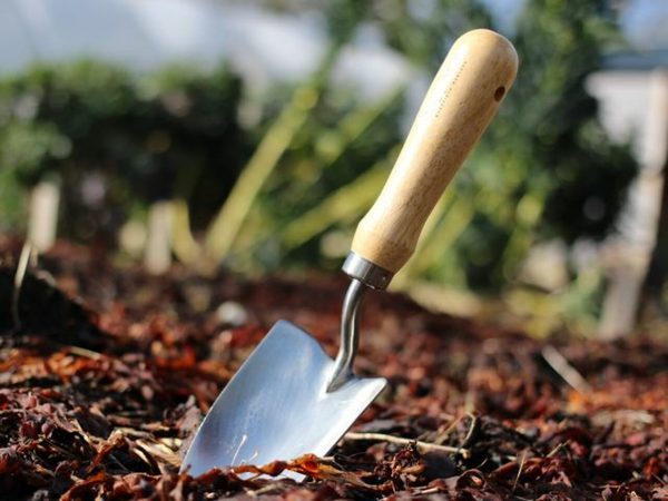 Grow Your Best Garden Yet: Quickcrop Urges Customers to Order Early for Spring & Summer 2026 Grow Your Best Garden Yet: Quickcrop Urges Customers to Order Early for Spring & Summer 2026
