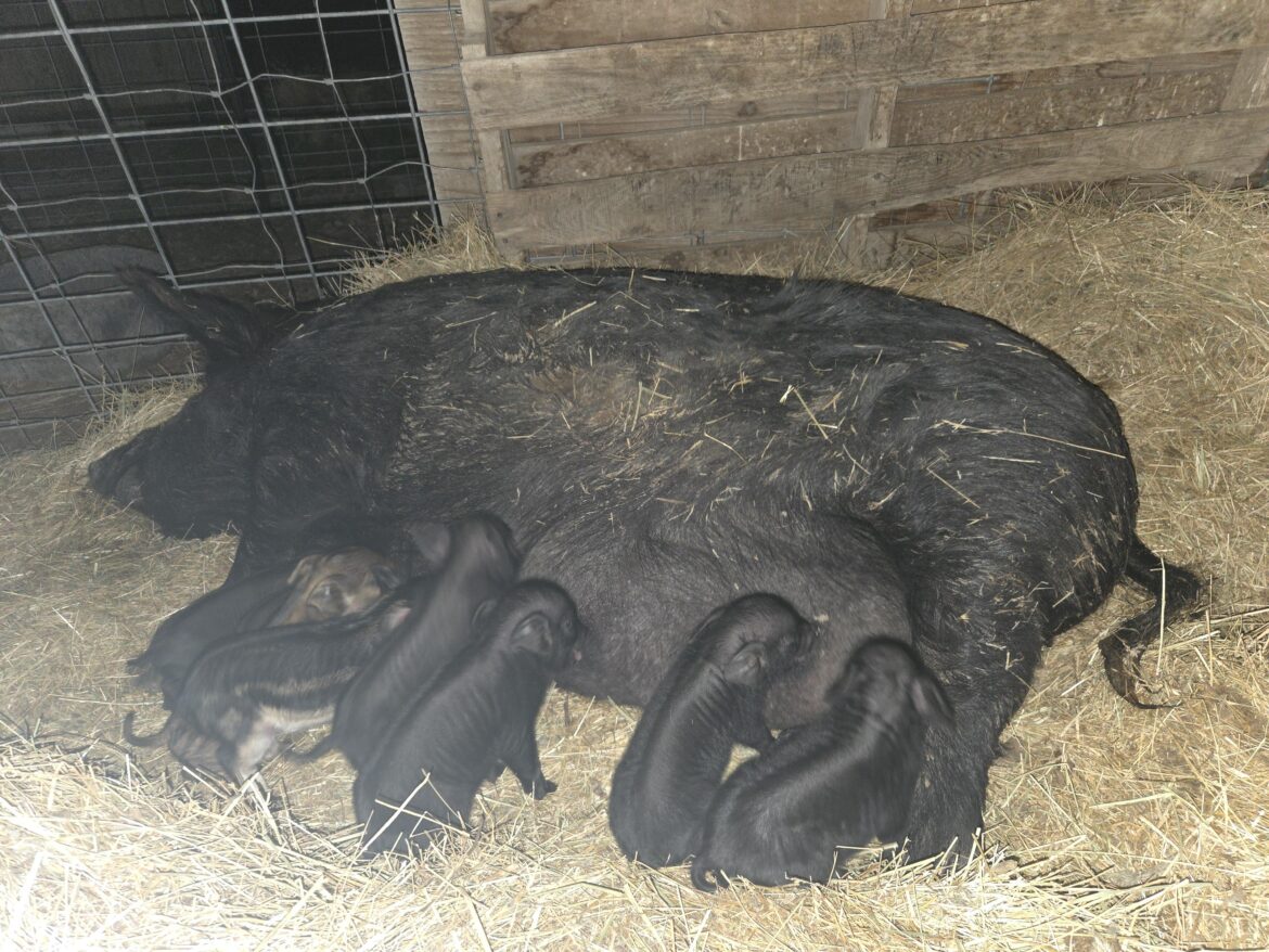 Nice wakeup this morning