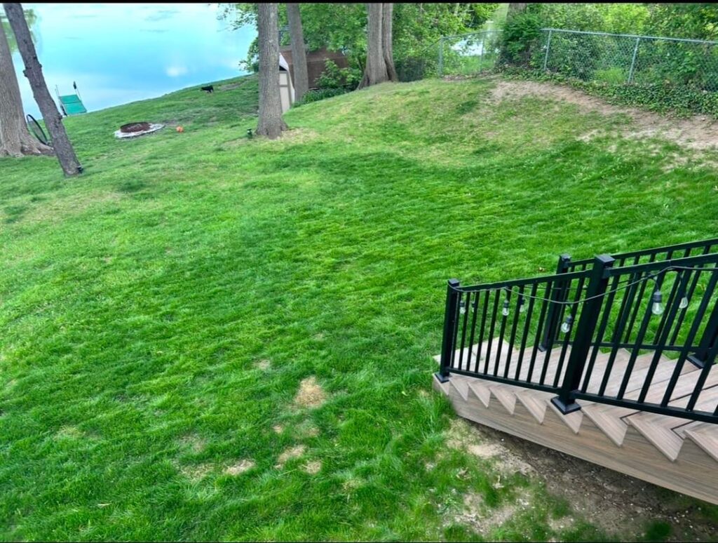 Lawn got destroyed since first planting last year. Lawn got destroyed since first planting last year.