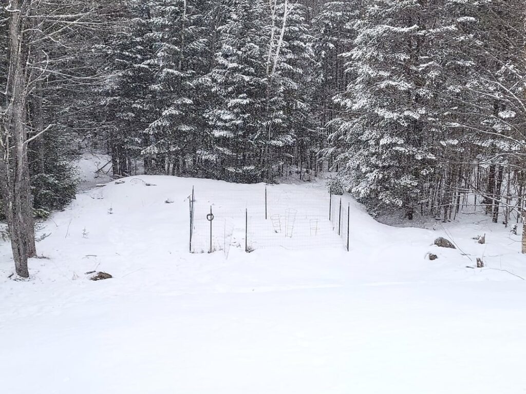 Would I be wasting my time placing a greenhouse here? Would I be wasting my time placing a greenhouse here?