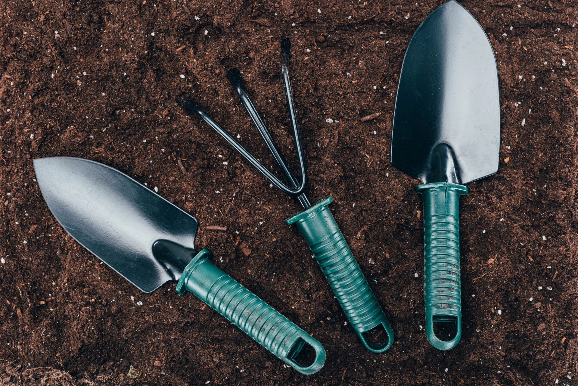 Safest Soil for Gardening Tested for PFAS "Forever Chemicals" -- Guide 3
