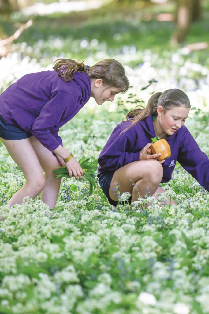Which British Schools Have The Best Kitchen Gardens? 8 Blooming Amazing School Kitchen Gardens