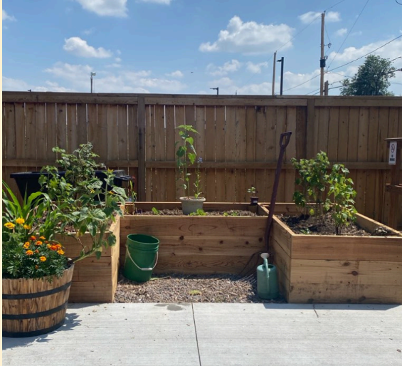 A raised garden bed with three sides, planted with vegetables. A smaller container garden sits to the left.