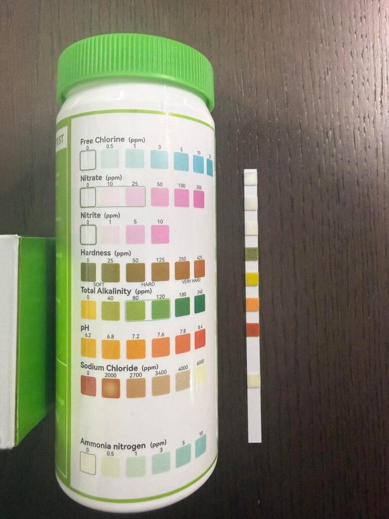 Please help, am I ready to add life to my sealed jar?