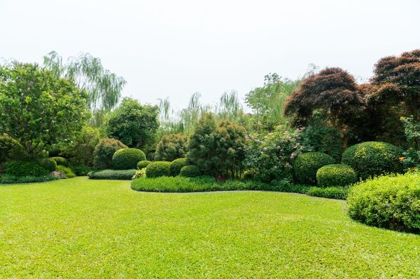 Scenic View of a Beautiful Landscape Garden with a Green Mowed Lawn Scenic View of a Beautiful Landscape Garden with a Green Mowed Lawn