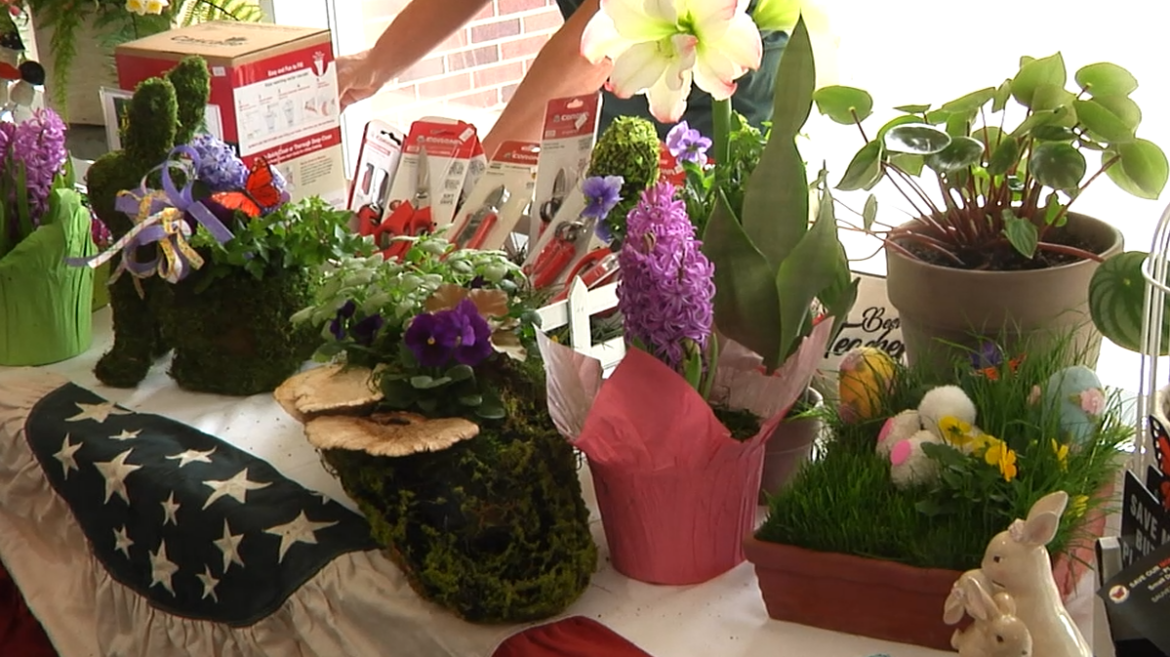 The 23rd Annual Spring Garden Symposium helps gardeners prepare for spring – WHIZ The 23rd Annual Spring Garden Symposium helps gardeners prepare for spring - WHIZ