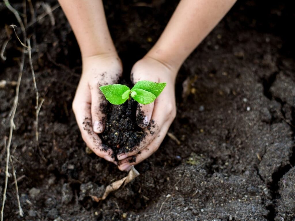When Can Gardening Start In RI? Your Guide To Last Expected Frost