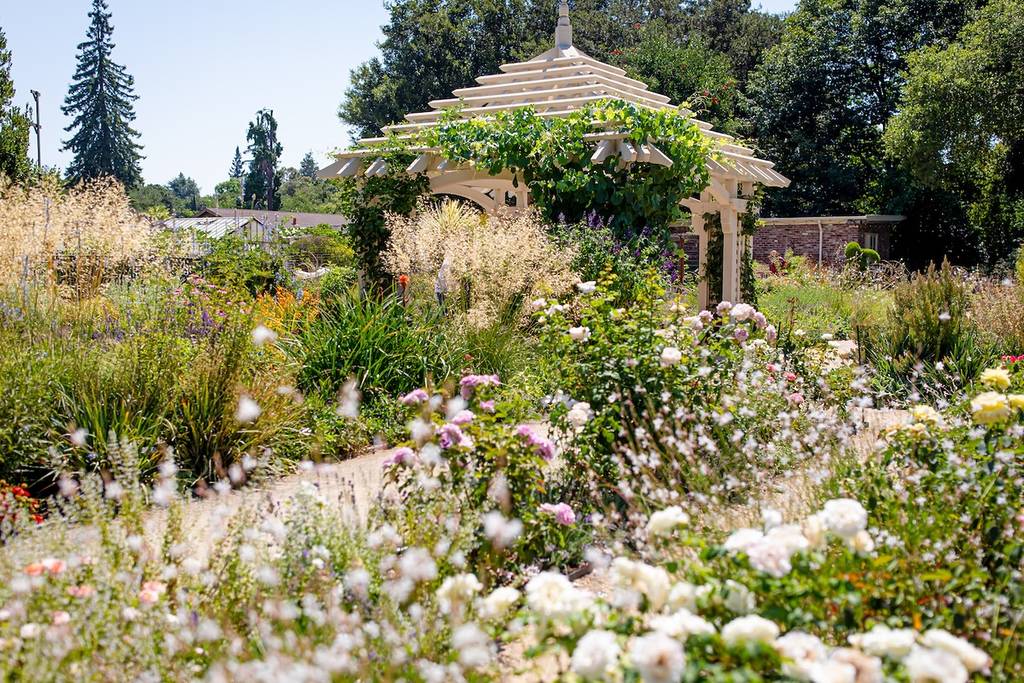 gamble garden in palo alto in full bloom with many flowers on a sunny day