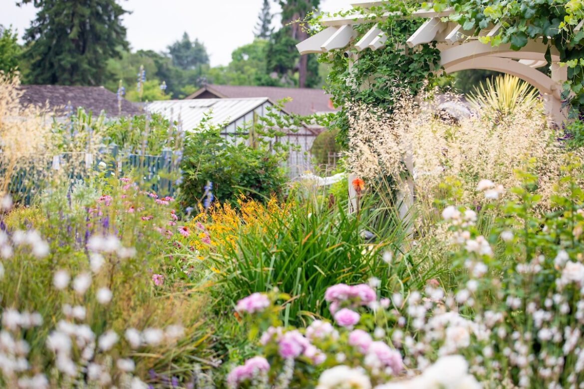 This 118-Year-Old Garden Near San Francisco Is Completely Free To Visit — With 2.5 Acres Of Historic Charm & A Wisteria Garden This 118-Year-Old Garden Near San Francisco Is Completely Free To Visit — With 2.5 Acres Of Historic Charm & A Wisteria Garden