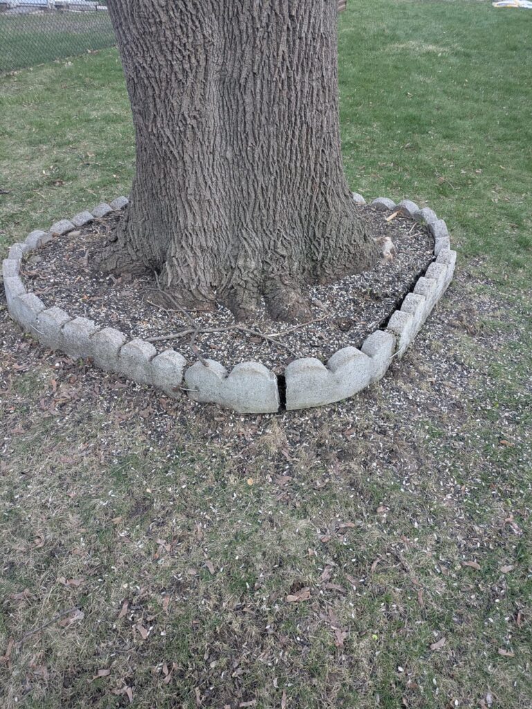 Operation Free tbe Tree