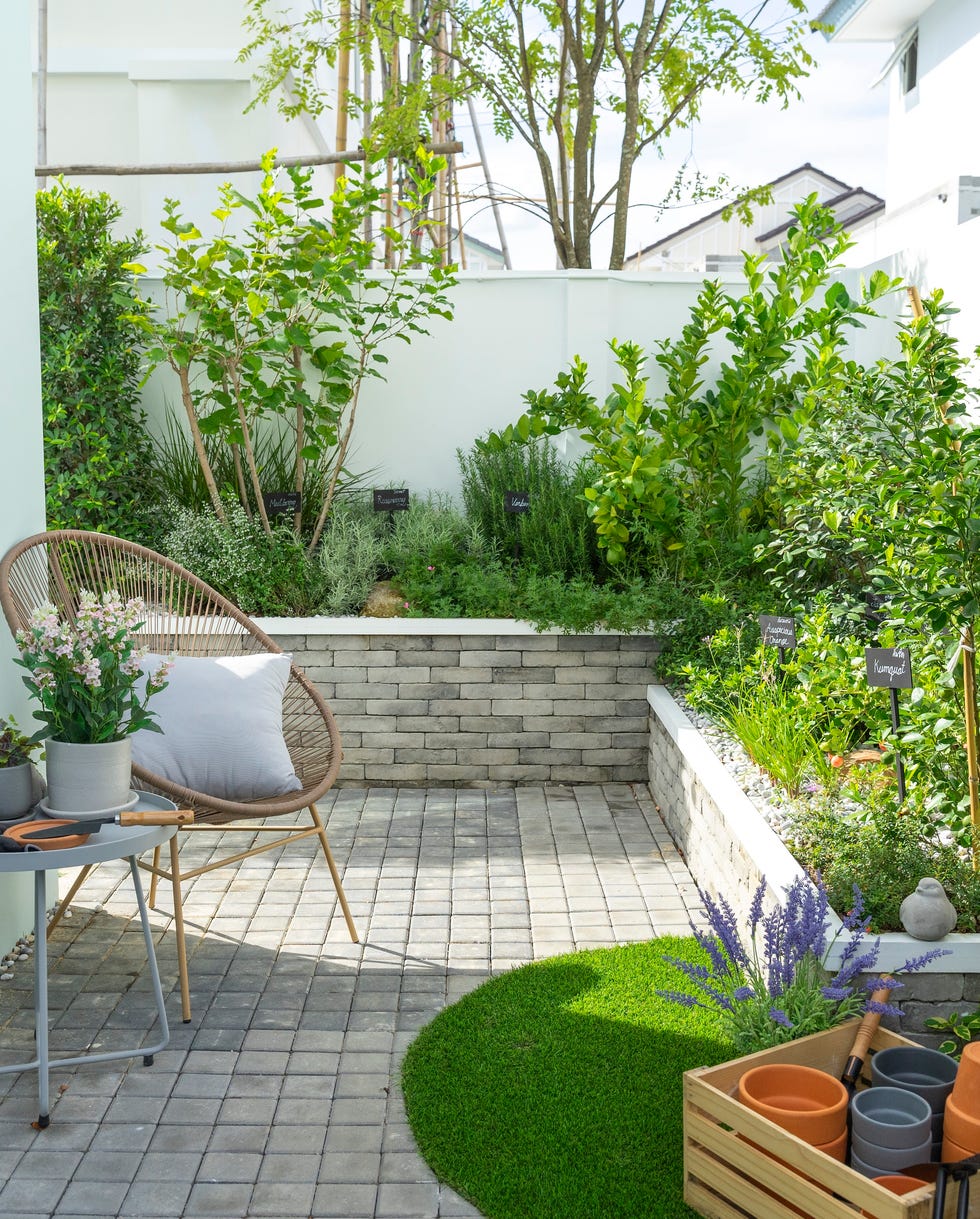 home vegetables growing in a raised bed in a small garden of back yard home.