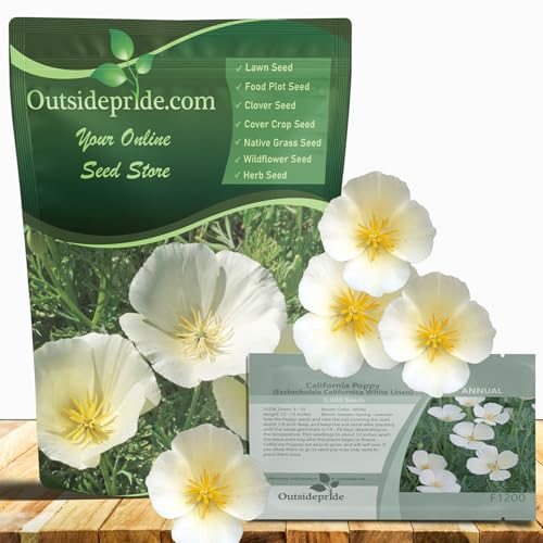 Outsidepride White Linen California Poppy Seeds - 1/4 Lb. Annual, Low Maintenance & Drought Tolerant Wildflower Seeds for Planting Vibrant Spring Blooms for Pollinator Gardens & Wildlife Habitats