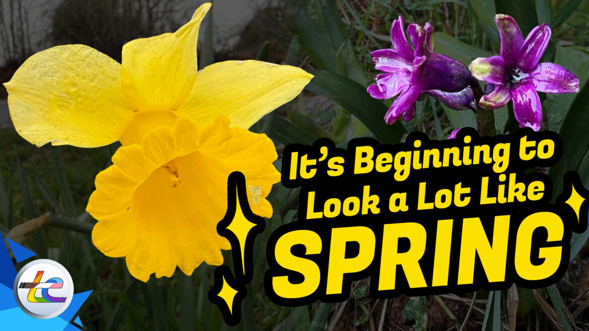 Transport Evolved Chicken and Garden Update: It's Starting To Feel Like Spring!