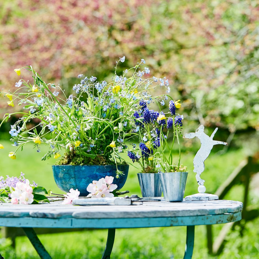 spring garden