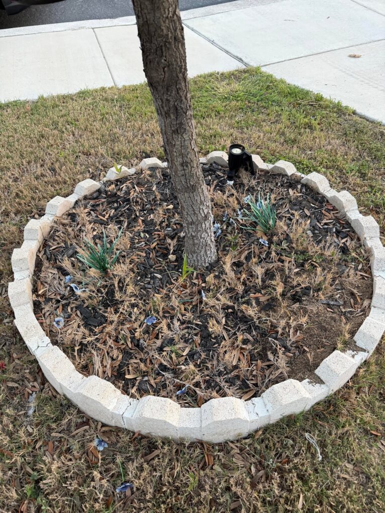 Saw another post about root flare