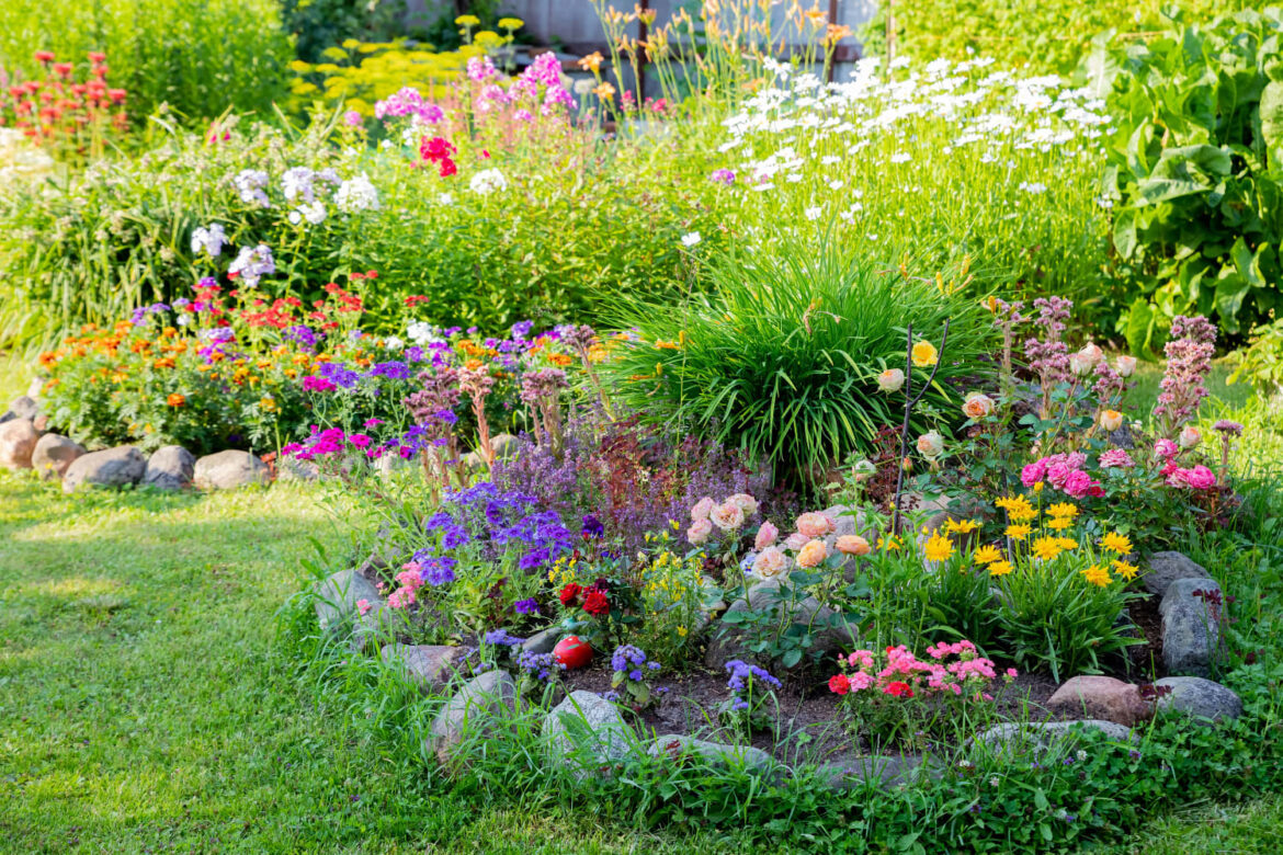 4 Plants a Master Gardener Never Uses at Home 4 Plants a Master Gardener Never Uses at Home