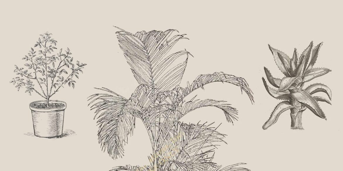 This 1970s Houseplant Advice Still Holds Up