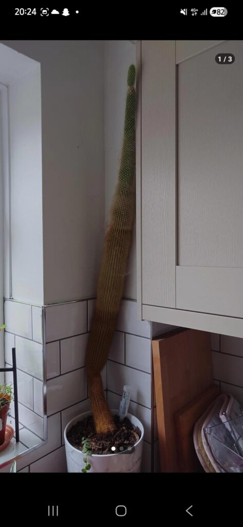 Guys the bending hapenned recently what do i do :((