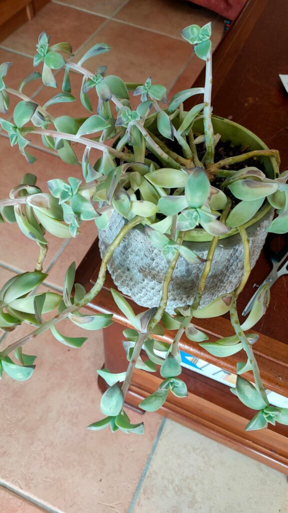 How happening ??? How happening ???