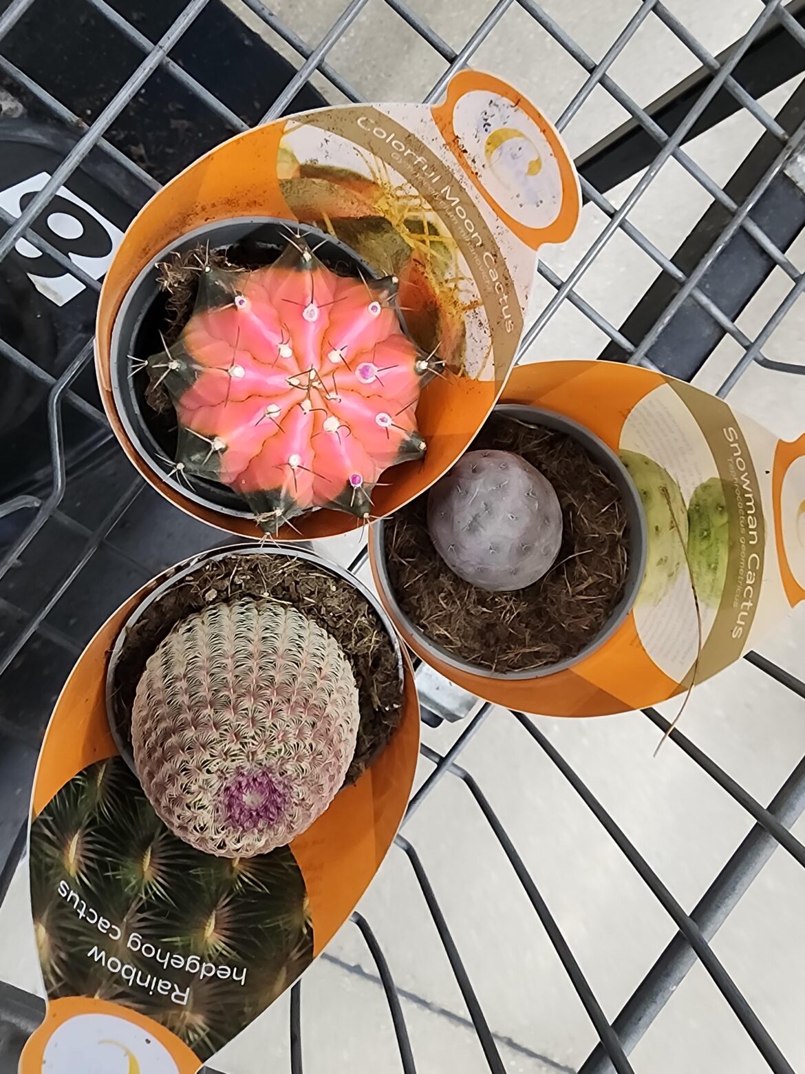 Do i need these?
