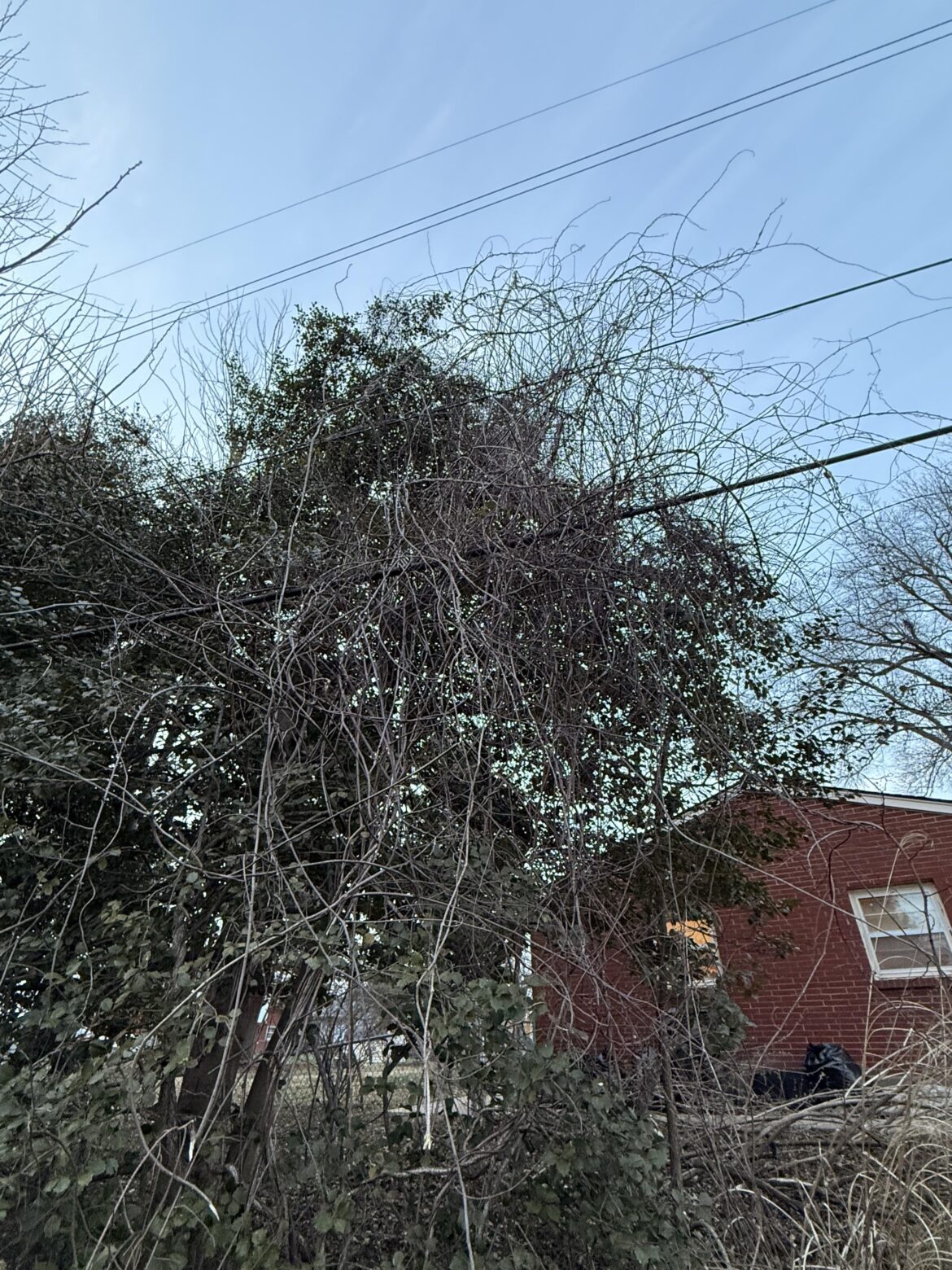 Best way to go about removing this?