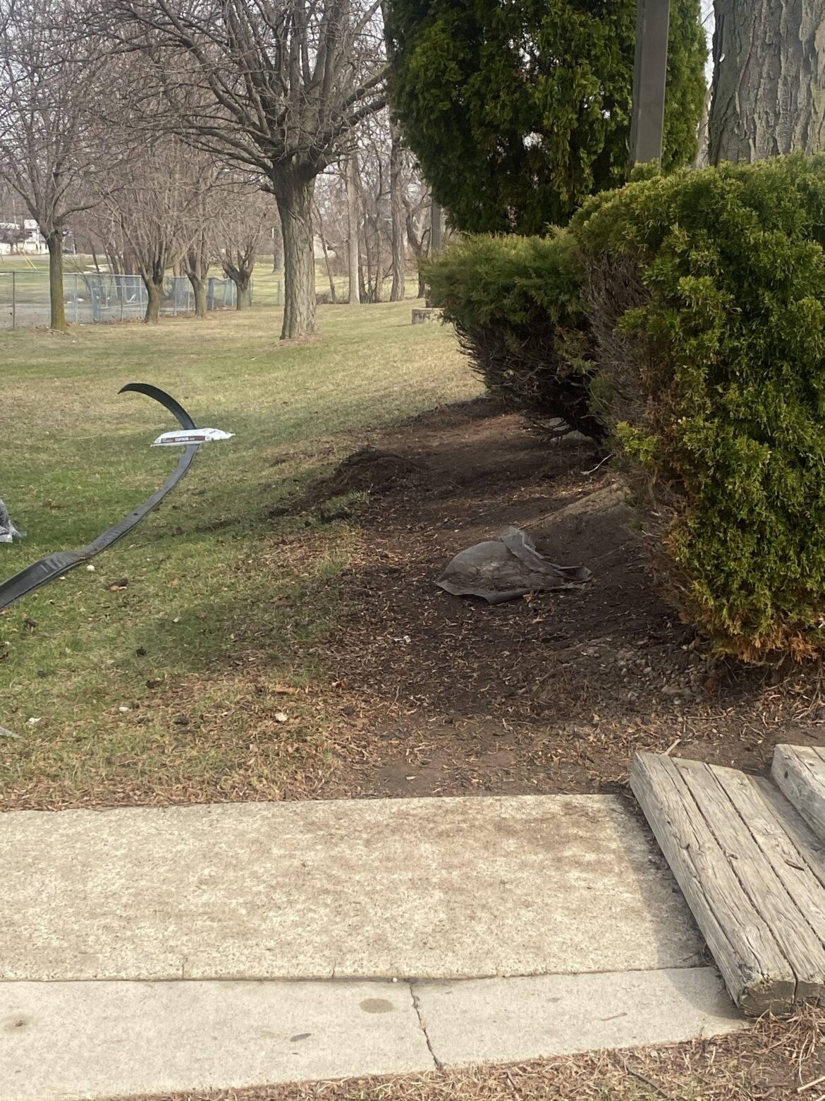 Best idea for a border between this mulch and grass