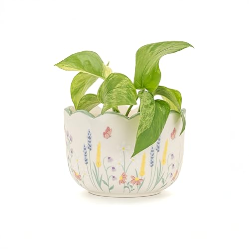Sass &amp; Belle Meadow Floral Planter - Indoor Plant Pot, Floral Design for Cactus or Succulent, Ceramic Plant Pots for Home Decor, Flower Pot Designed by Sass and Belle