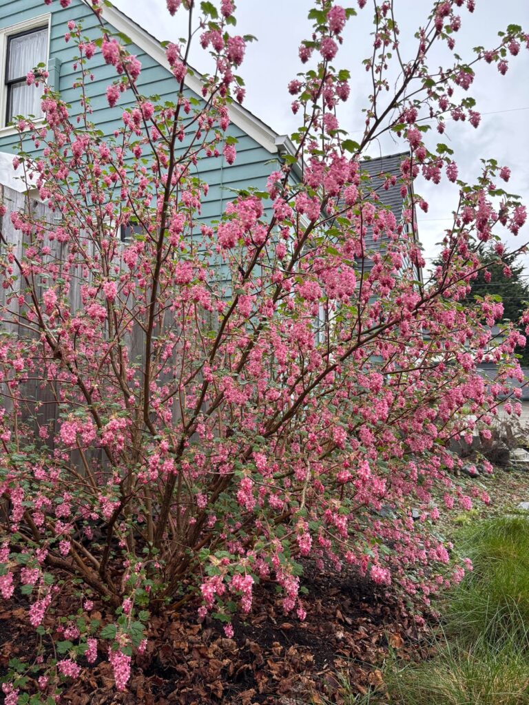 Not too bad eh?