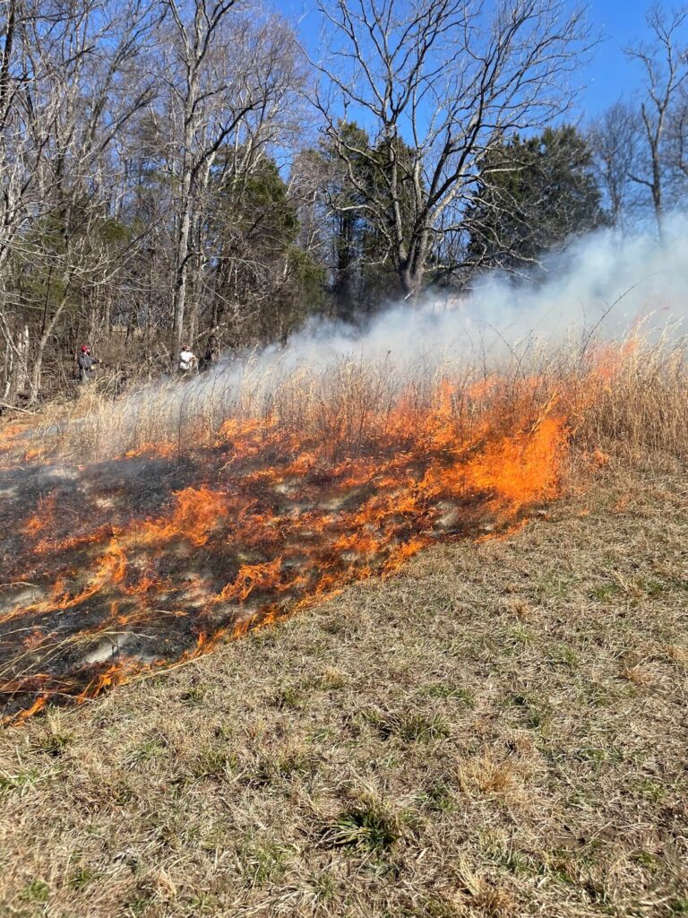 Burned and seeded 4 acres over this last week