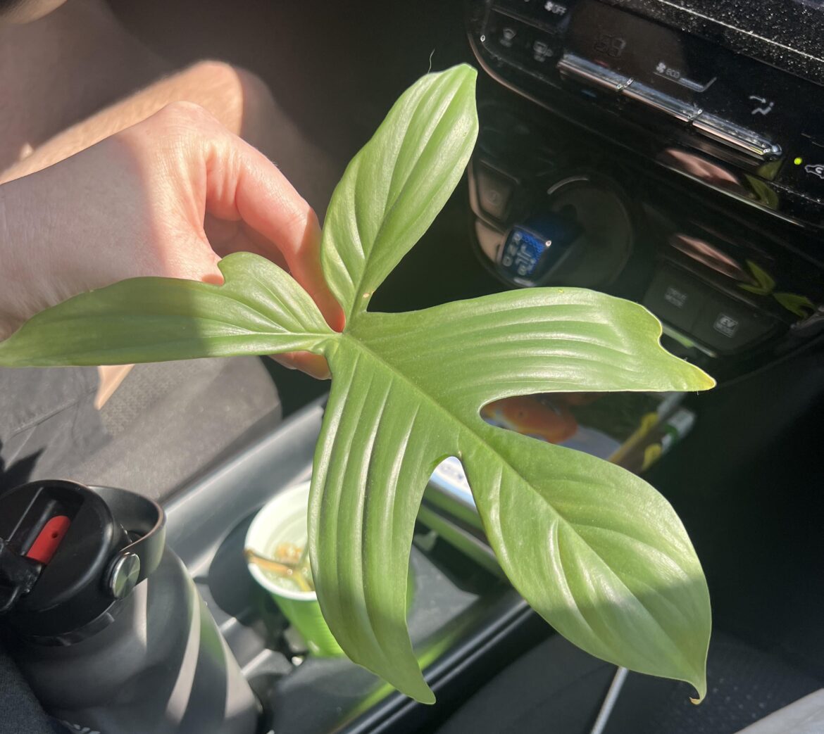 Florida Ghost or did I get got?