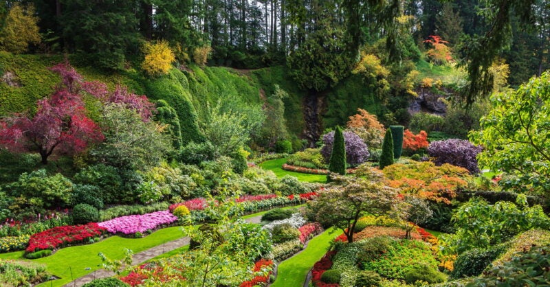 Best Botanical Gardens In the World to Visit in Spring Best Botanical Gardens In the World to Visit in Spring