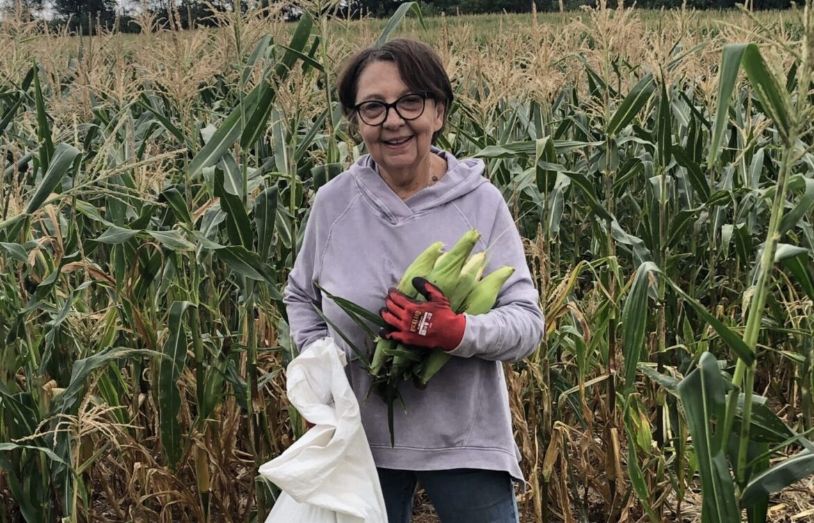 Local Gardeners Grow Fresh Fruits and Vegetables for Area Food Banks