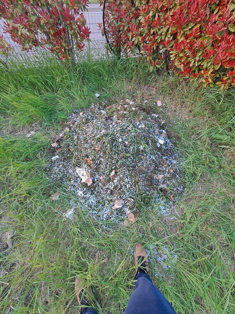 second and biggest compost pile!